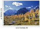 Larch Trees From The Saddleback Trail Wall Mural
