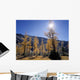 Upper Rowe Lake And Larch Trees In Fall Wall Mural