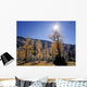 Upper Rowe Lake And Larch Trees In Fall Wall Mural