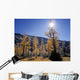 Upper Rowe Lake And Larch Trees In Fall Wall Mural