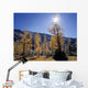 Upper Rowe Lake And Larch Trees In Fall Wall Mural