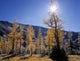 Upper Rowe Lake And Larch Trees In Fall Wall Mural