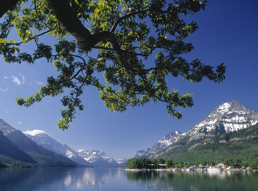 Waterton Lakes National Park, Alberta, Canada Wall Mural