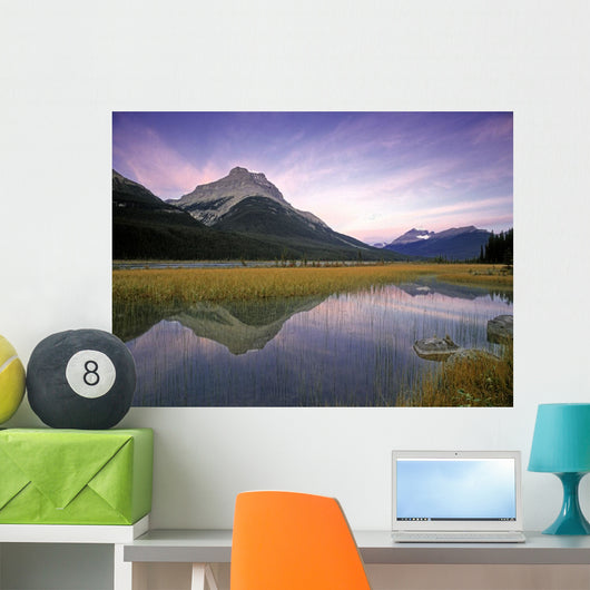 Mount Amery And Mount Athabasca At Rampart Ponds Wall Mural