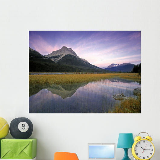 Mount Amery And Mount Athabasca At Rampart Ponds Wall Mural