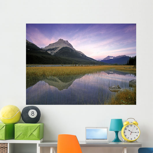 Mount Amery And Mount Athabasca At Rampart Ponds Wall Mural