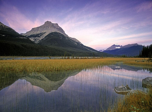 Mount Amery And Mount Athabasca At Rampart Ponds Wall Mural
