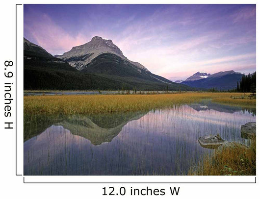 Mount Amery And Mount Athabasca At Rampart Ponds Wall Mural