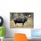 Bull Moose, Peter Lougheed Provincial Park, Alberta, Canada Wall Mural