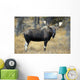 Bull Moose, Peter Lougheed Provincial Park, Alberta, Canada Wall Mural