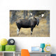 Bull Moose, Peter Lougheed Provincial Park, Alberta, Canada Wall Mural