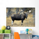 Bull Moose, Peter Lougheed Provincial Park, Alberta, Canada Wall Mural
