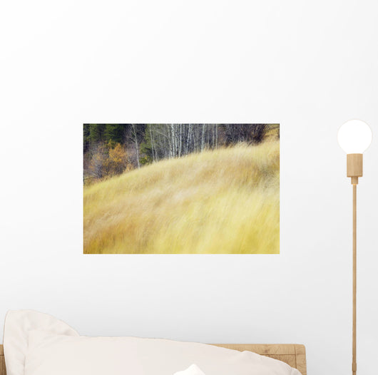 Mountain Meadow In Fall, Kananaskis Country, Alberta, Canada Wall Mural