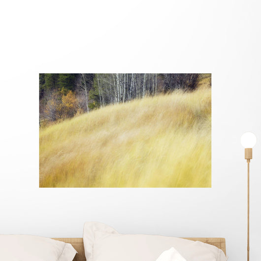 Mountain Meadow In Fall, Kananaskis Country, Alberta, Canada Wall Mural
