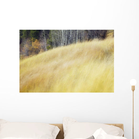 Mountain Meadow In Fall, Kananaskis Country, Alberta, Canada Wall Mural