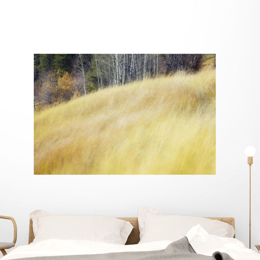 Mountain Meadow In Fall, Kananaskis Country, Alberta, Canada Wall Mural