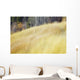 Mountain Meadow In Fall, Kananaskis Country, Alberta, Canada Wall Mural