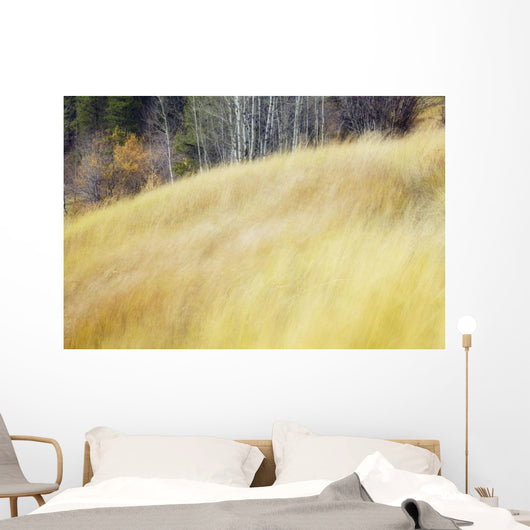 Mountain Meadow In Fall, Kananaskis Country, Alberta, Canada Wall Mural