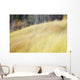 Mountain Meadow In Fall, Kananaskis Country, Alberta, Canada Wall Mural