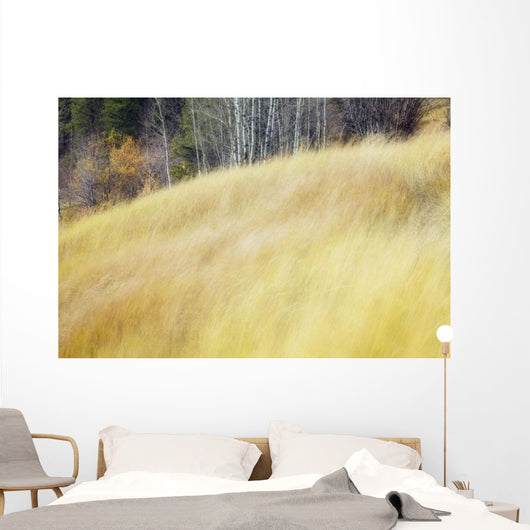 Mountain Meadow In Fall, Kananaskis Country, Alberta, Canada Wall Mural