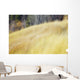 Mountain Meadow In Fall, Kananaskis Country, Alberta, Canada Wall Mural