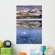The Colin Range And The Athabasca River Wall Mural