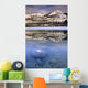 The Colin Range And The Athabasca River Wall Mural