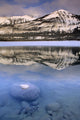 The Colin Range And The Athabasca River Wall Mural