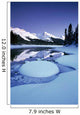 Maligne Lake, Jasper National Park, Alberta, Canada Wall Mural