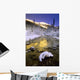 Maligne River And The Colin Range Wall Mural