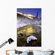 Maligne River And The Colin Range Wall Mural