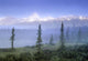 Mt Edith Cavell From Fryatt Ponds Wall Mural