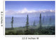 Mt Edith Cavell From Fryatt Ponds Wall Mural