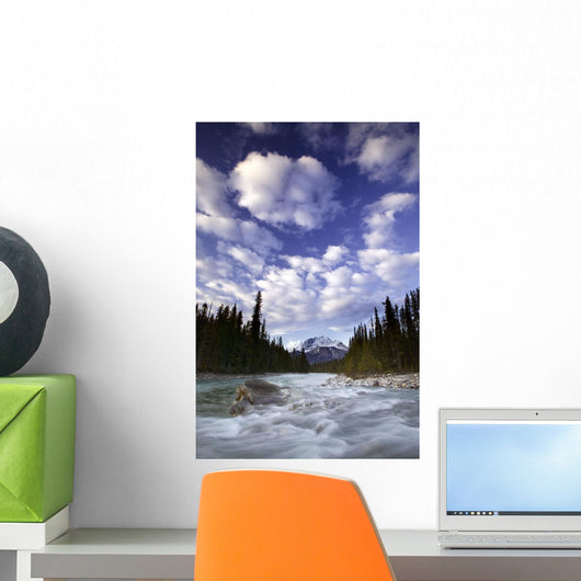 The Ottertail Range And Kicking Horse River Wall Mural