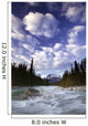 The Ottertail Range And Kicking Horse River Wall Mural