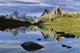 Wiwaxy Peaks And Cathedral Mountain From Opabin Plateau Wall Mural