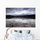 Herbert Lake And The Bow Range, Banff National Park, Alberta, Canada Wall Mural