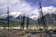 Mt Vaux And Chancellor Peak Wall Mural