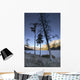 Lake Minnewanka And Mt Inglismaldie Wall Mural