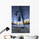 Lake Minnewanka And Mt Inglismaldie Wall Mural