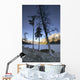 Lake Minnewanka And Mt Inglismaldie Wall Mural