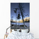 Lake Minnewanka And Mt Inglismaldie Wall Mural