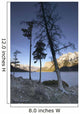 Lake Minnewanka And Mt Inglismaldie Wall Mural