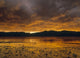 Porpoise Bay Provincial Park Wall Mural
