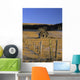 Old Farm, Near Cochrane, Alberta Wall Mural