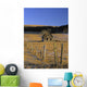 Old Farm, Near Cochrane, Alberta Wall Mural