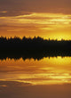 Sunset Over Boreal Forest, Medicine Lake, Alberta, Canada Wall Mural