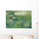 White Admiral Butterfly On Cow Parsnip, Alberta, Canada Wall Mural