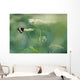White Admiral Butterfly On Cow Parsnip, Alberta, Canada Wall Mural