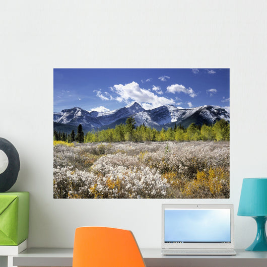 Little Elbow River Valley, Kananaskis Country, Alberta, Canada Wall Mural
